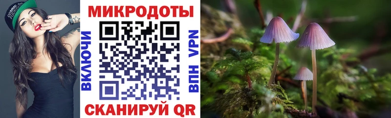 Галлюциногенные грибы GOLDEN TEACHER  закладки  Ковдор 